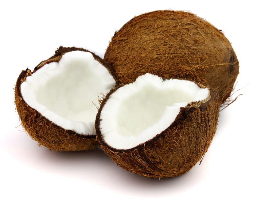 picture of Coconut